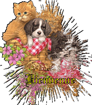 Mes vacances   Mes loisirs